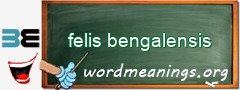 WordMeaning blackboard for felis bengalensis